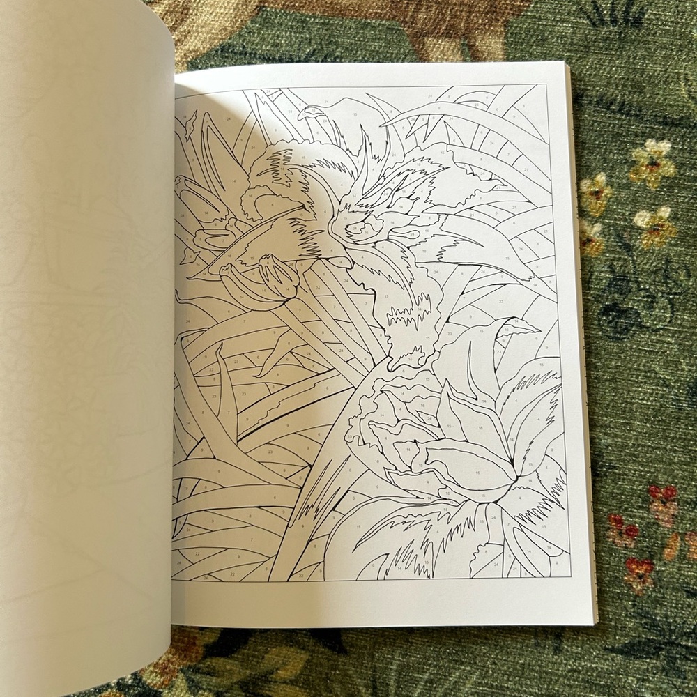 NEW Flowers Color by Numbers (Sirius Color by Numbers Collection, 12) - Picture 4 of 9